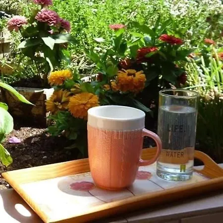 Apartman Efi's Lefkáda