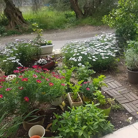 Efi's Apartman Lefkáda