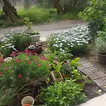 Efi's Apartman Lefkáda