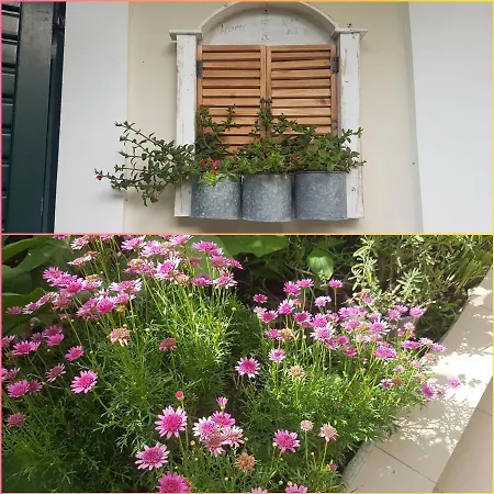 Efi's Lefkada City