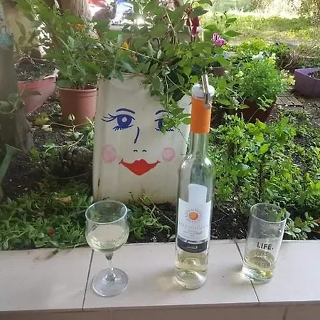 Διαμέρισμα Efi's *