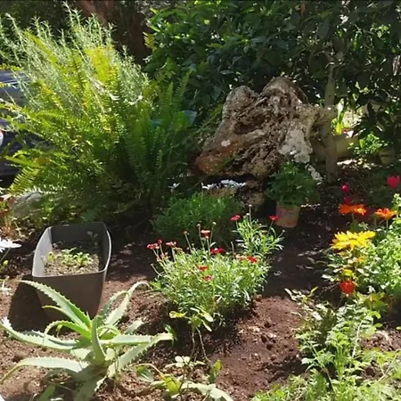 Efi's Λευκάδα