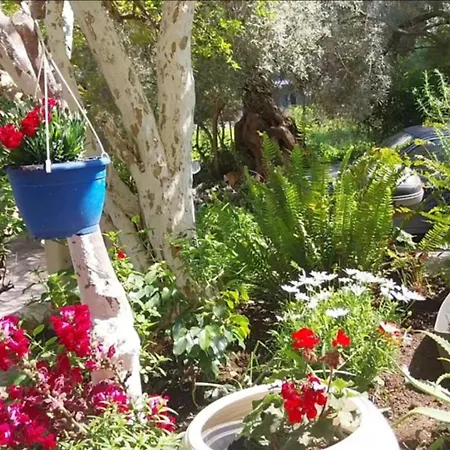 Efi's * Λευκάδα