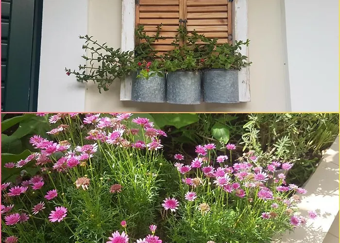 Efi's Лефкада