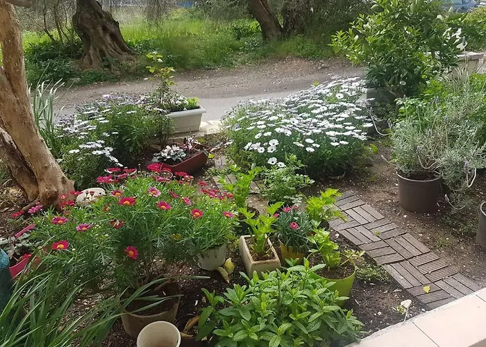 Efi's Апартаменты Лефкада